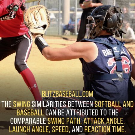 Softball vs baseball swings