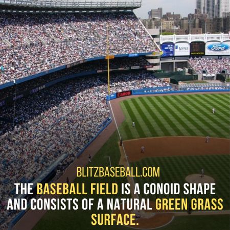 Baseball Field Overview